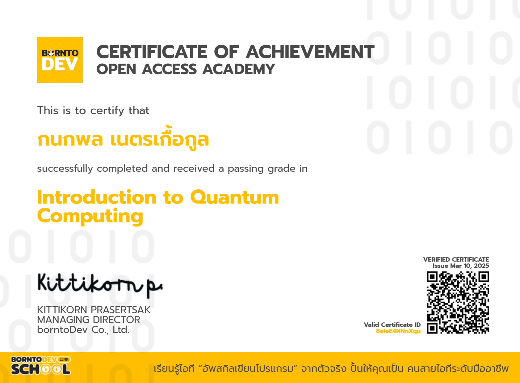 Quantum Computing